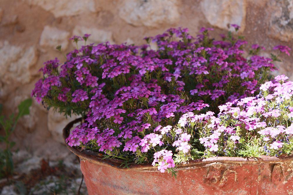 La Casa Su Le Dimore Del Borgo Santo Stefano Di Sessanio Exterior photo